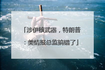 涉伊核武器，特朗普：美情报总监搞错了