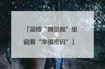 淄博“微景观”里藏着“幸福密码”