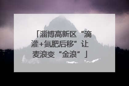 淄博高新区“滴灌+氮肥后移”让麦浪变“金浪”