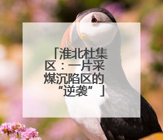 淮北杜集区：一片采煤沉陷区的“逆袭”
