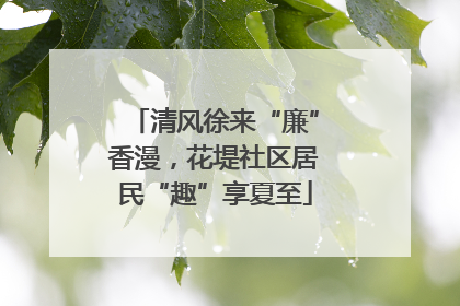 清风徐来“廉”香漫，花堤社区居民“趣”享夏至