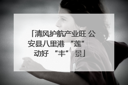 清风护航产业旺 公安县八里港 “莲” 动好 “丰” 景