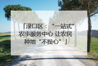 渌口区：“一站式”农事服务中心 让农民种地“不操心”