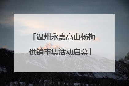 温州永嘉高山杨梅供销市集活动启幕