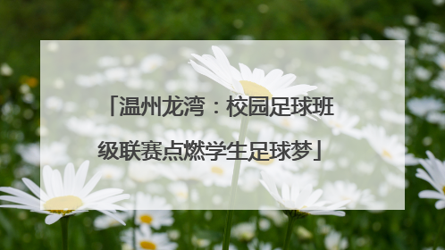 温州龙湾：校园足球班级联赛点燃学生足球梦