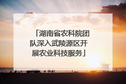 湖南省农科院团队深入武陵源区开展农业科技服务