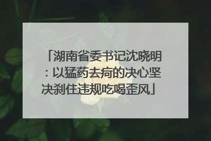 湖南省委书记沈晓明：以猛药去疴的决心坚决刹住违规吃喝歪风