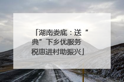 湖南娄底：送“典”下乡优服务 税惠进村助振兴