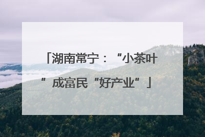 湖南常宁：“小茶叶”成富民“好产业”