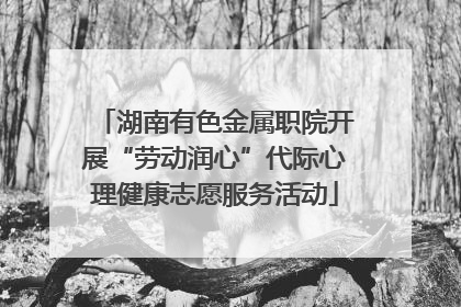 湖南有色金属职院开展“劳动润心”代际心理健康志愿服务活动