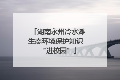 湖南永州冷水滩生态环境保护知识“进校园”