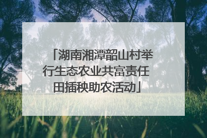 湖南湘潭韶山村举行生态农业共富责任田插秧助农活动