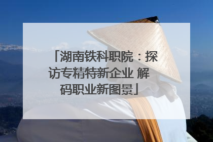 湖南铁科职院：探访专精特新企业 解码职业新图景