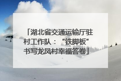 湖北省交通运输厅驻村工作队：“铁脚板”书写龙凤村幸福答卷