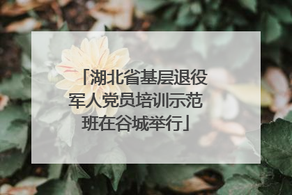 湖北省基层退役军人党员培训示范班在谷城举行
