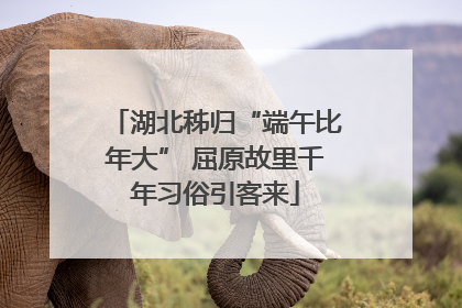 湖北秭归“端午比年大” 屈原故里千年习俗引客来