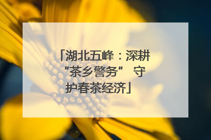 湖北五峰：深耕“茶乡警务” 守护春茶经济