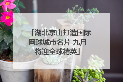 湖北京山打造国际网球城市名片 九月将迎全球精英