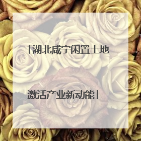 湖北咸宁闲置土地激活产业新动能