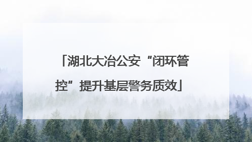 湖北大冶公安“闭环管控”提升基层警务质效