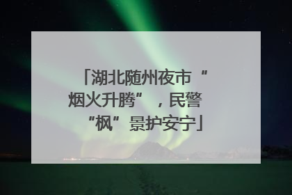 湖北随州夜市“烟火升腾”，民警“枫”景护安宁