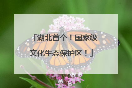 湖北首个！国家级文化生态保护区！