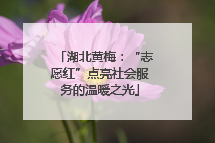 湖北黄梅：“志愿红”点亮社会服务的温暖之光
