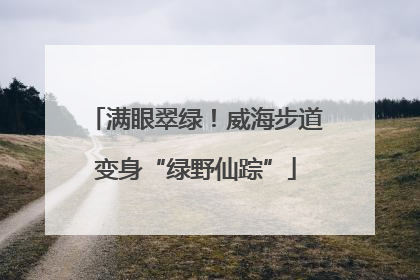 满眼翠绿！威海步道变身“绿野仙踪”