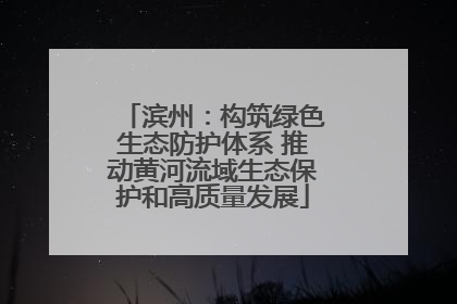 滨州：构筑绿色生态防护体系 推动黄河流域生态保护和高质量发展