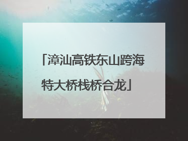 漳汕高铁东山跨海特大桥栈桥合龙