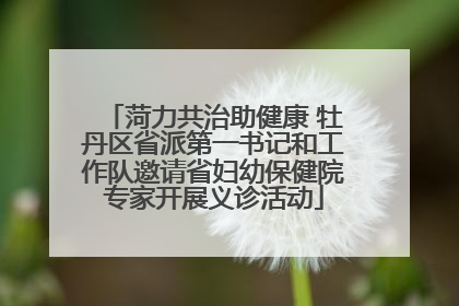 菏力共治助健康 牡丹区省派第一书记和工作队邀请省妇幼保健院专家开展义诊活动