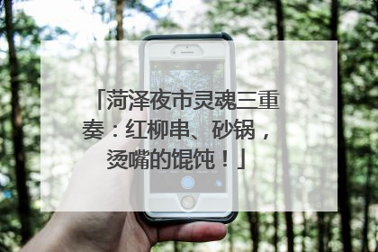 菏泽夜市灵魂三重奏：红柳串、砂锅，烫嘴的馄饨！