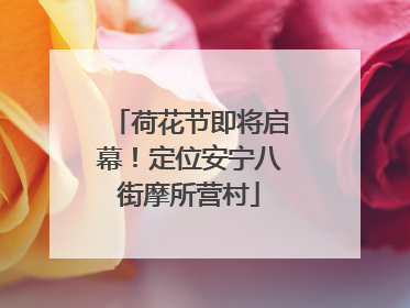 荷花节即将启幕！定位安宁八街摩所营村
