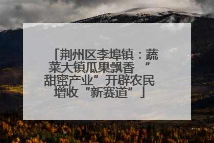 荆州区李埠镇：蔬菜大镇瓜果飘香 “甜蜜产业”开辟农民增收“新赛道”