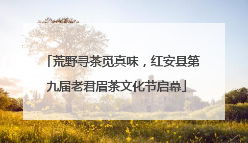 荒野寻茶觅真味，红安县第九届老君眉茶文化节启幕