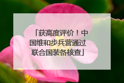 获高度评价！中国维和步兵营通过联合国装备核查
