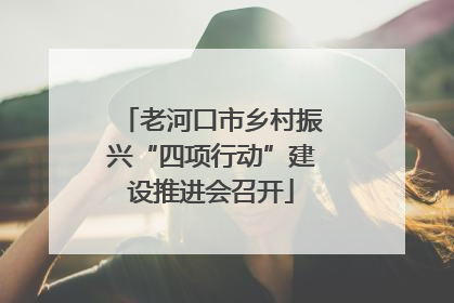 老河口市乡村振兴“四项行动”建设推进会召开