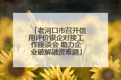 老河口市召开信用评价银企对接工作座谈会 助力企业破解融资难题