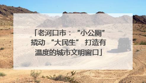 老河口市：“小公厕” 撬动 “大民生” 打造有温度的城市文明窗口