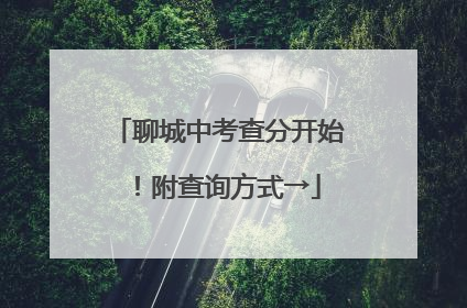 聊城中考查分开始！附查询方式→