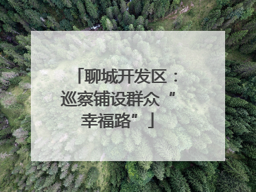 聊城开发区：巡察铺设群众“幸福路”