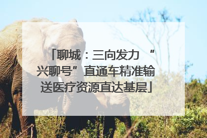 聊城：三向发力 “兴聊号”直通车精准输送医疗资源直达基层