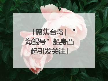 聚焦台岛│“海鲲号”船身凸起引发关注