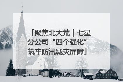 聚焦北大荒｜七星分公司“四个强化”筑牢防汛减灾屏障