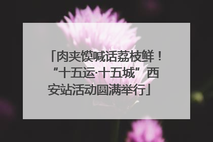 肉夹馍喊话荔枝鲜！“十五运·十五城”西安站活动圆满举行