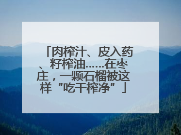 肉榨汁、皮入药、籽榨油……在枣庄，一颗石榴被这样“吃干榨净”