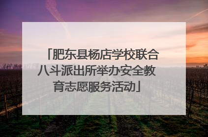 肥东县杨店学校联合八斗派出所举办安全教育志愿服务活动