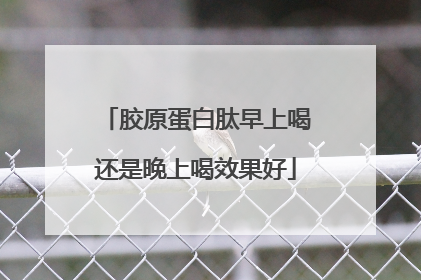 胶原蛋白肽早上喝还是晚上喝效果好