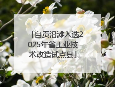 自贡沿滩入选2025年省工业技术改造试点县