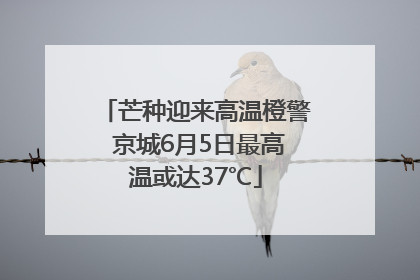 芒种迎来高温橙警 京城6月5日最高温或达37℃
